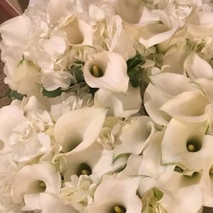 Meet your Posher, Cayenne